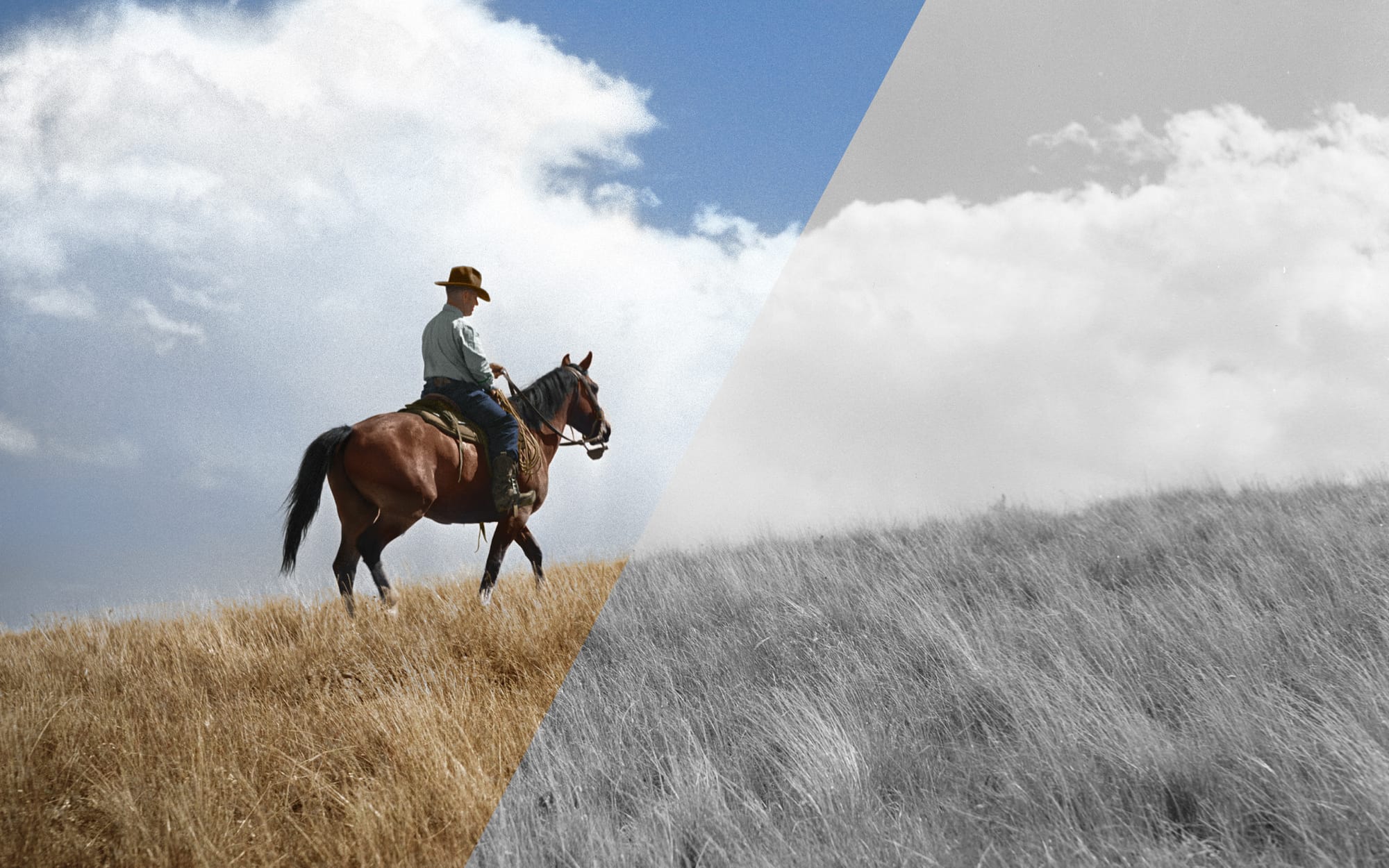 A Montana Rancher, 1939