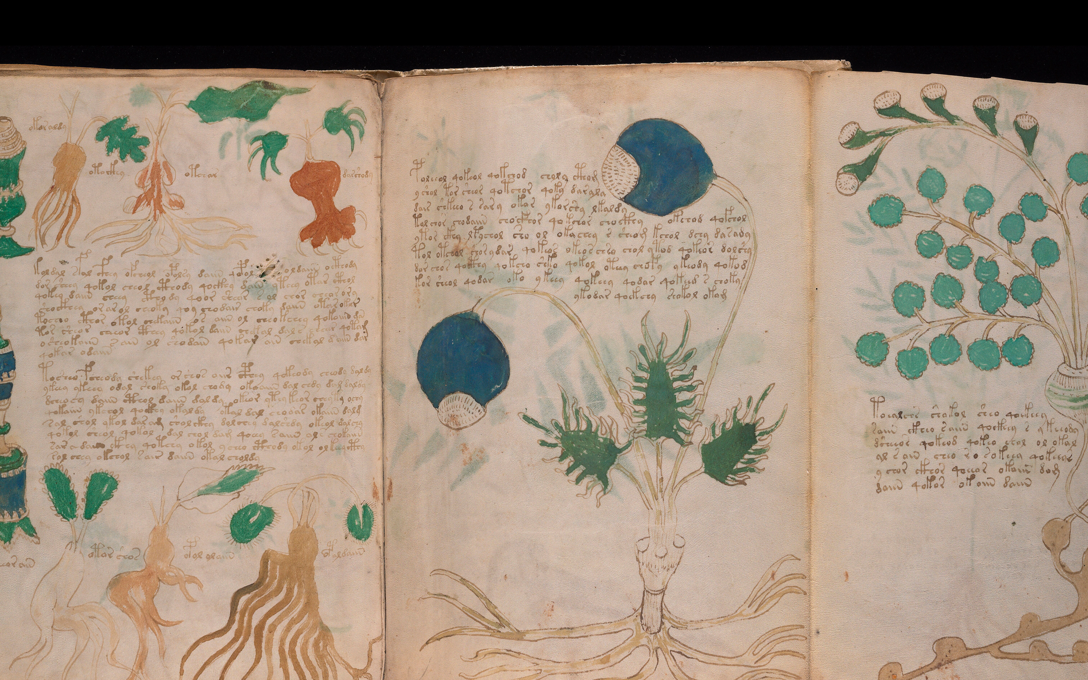 The Voynich Manuscript