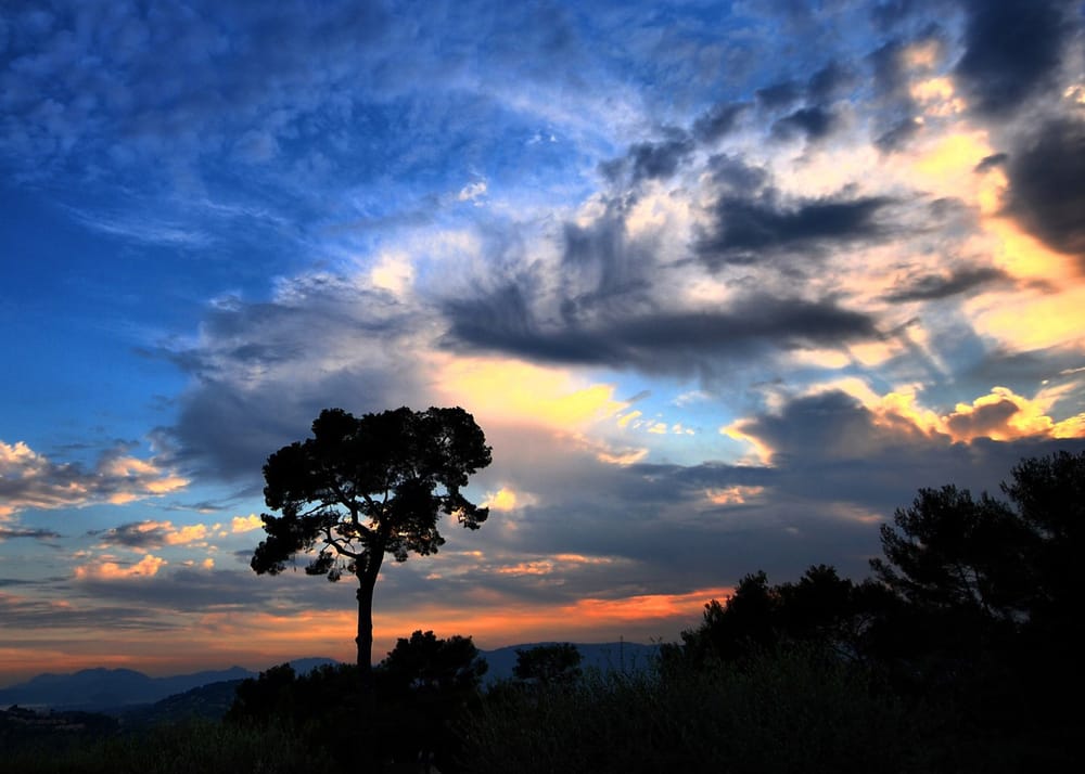 Neanderthal vs Human: Did Diseases Make the Difference? post image